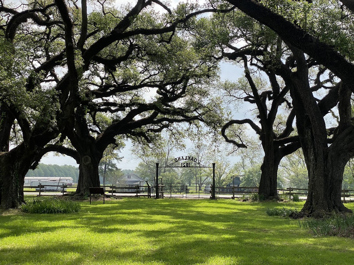 Cane River