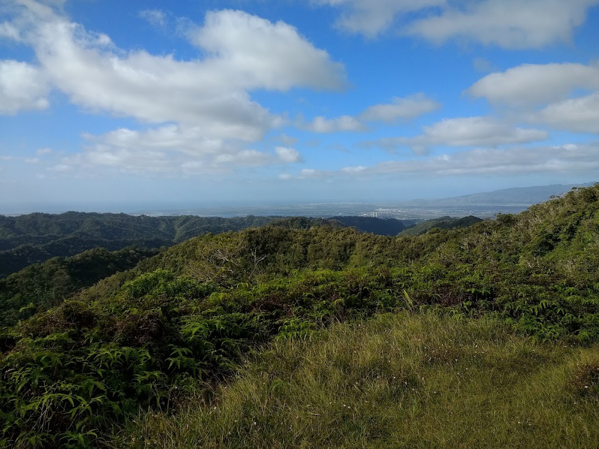 Manana Ridge Trail