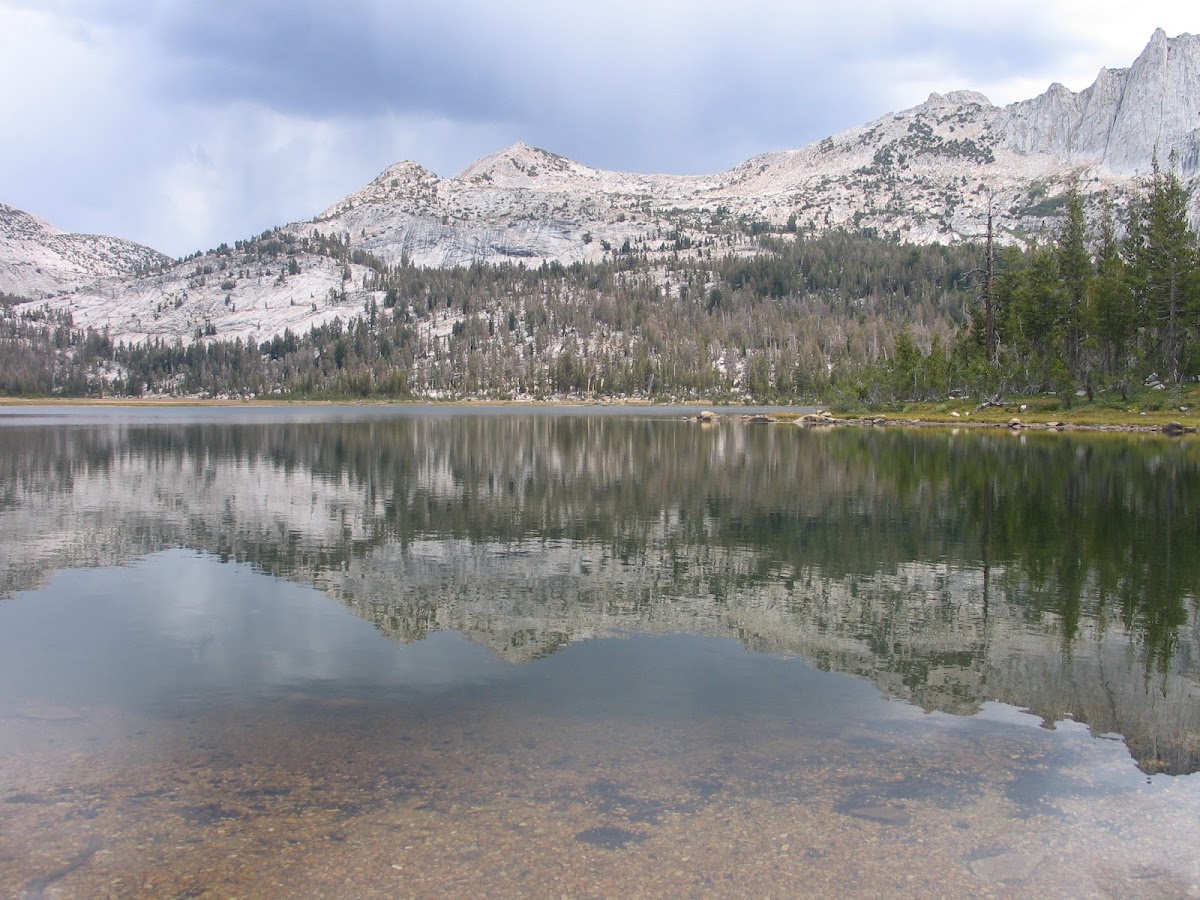Nelson Lake Use Trail