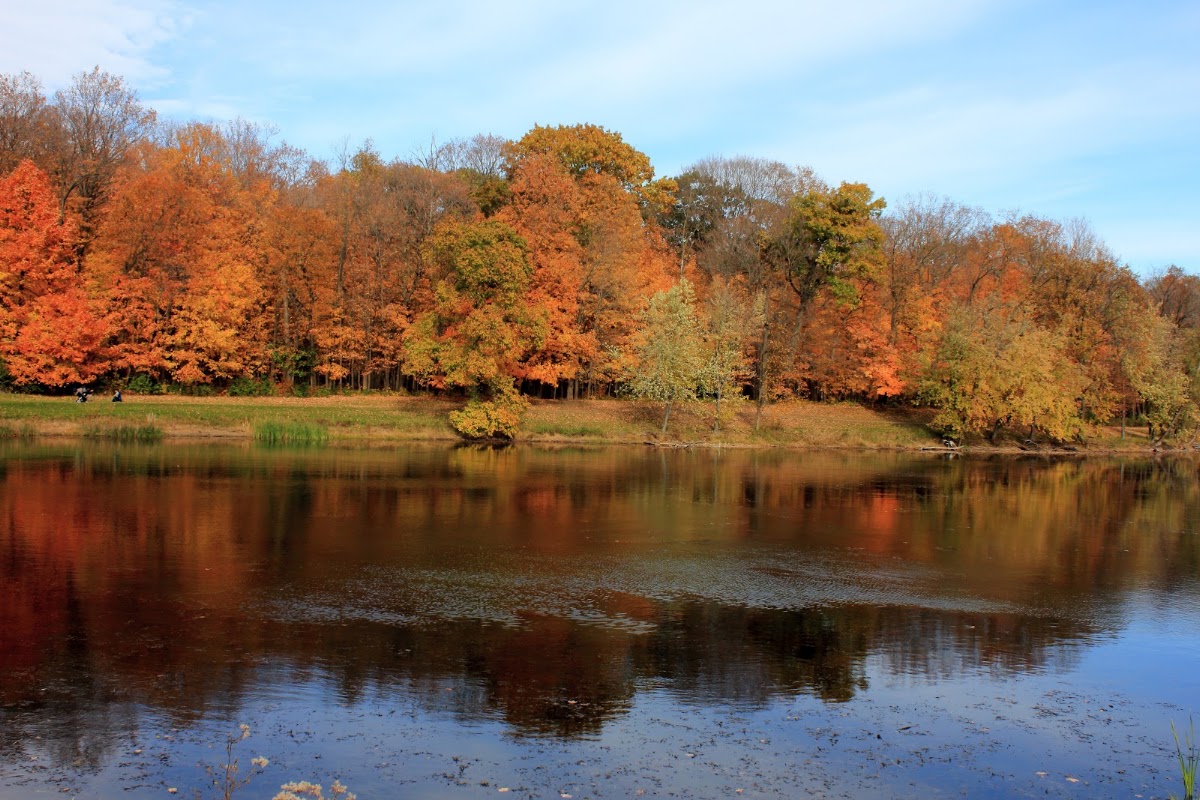 Potawatomi Woods