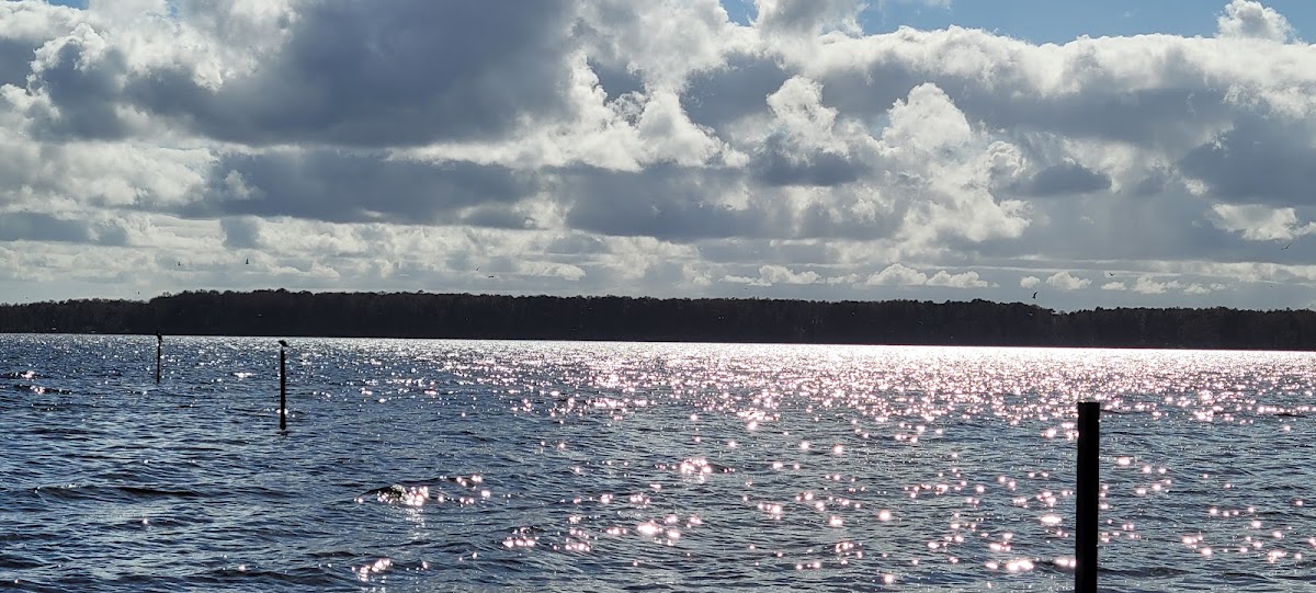 Pamlico River