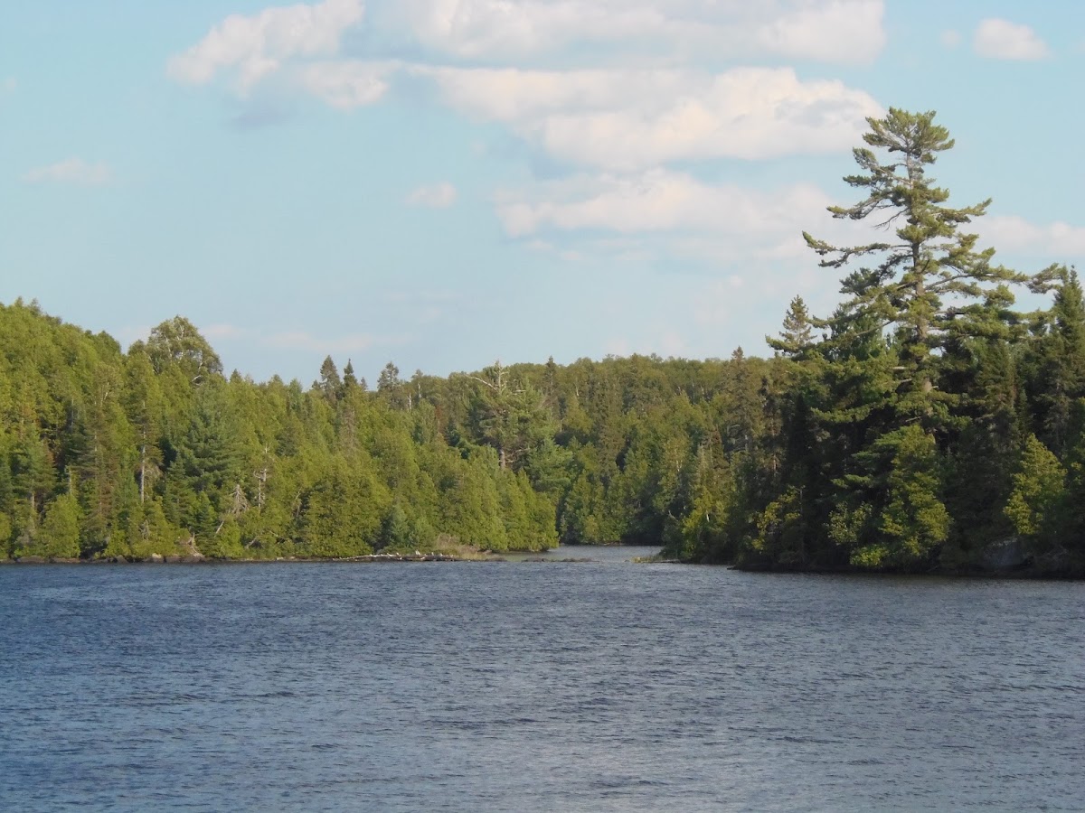 Caribou Lake