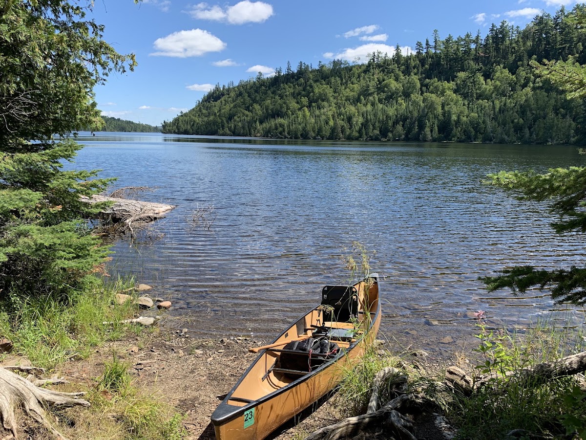Alder Lake