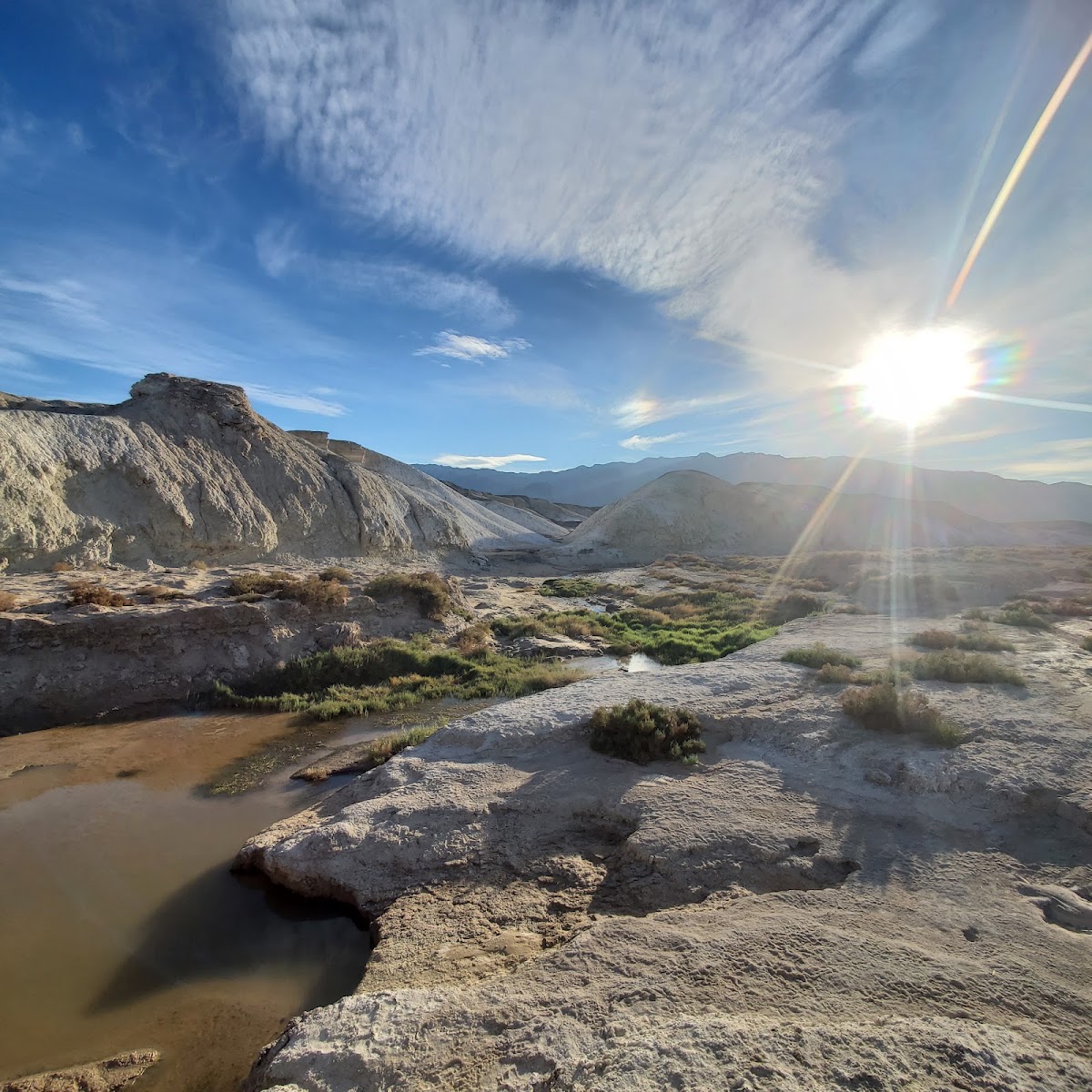 Salt Creek