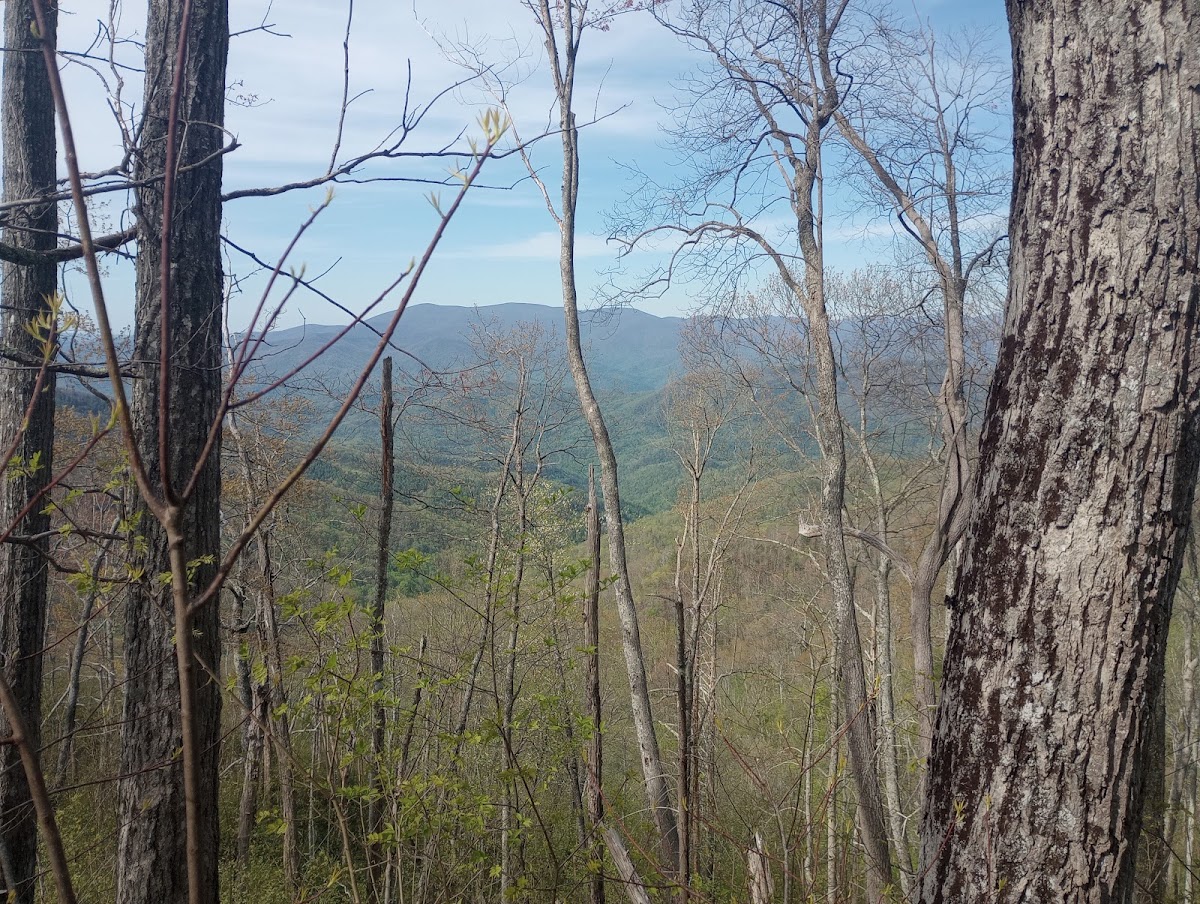 Haoe Lead Trail