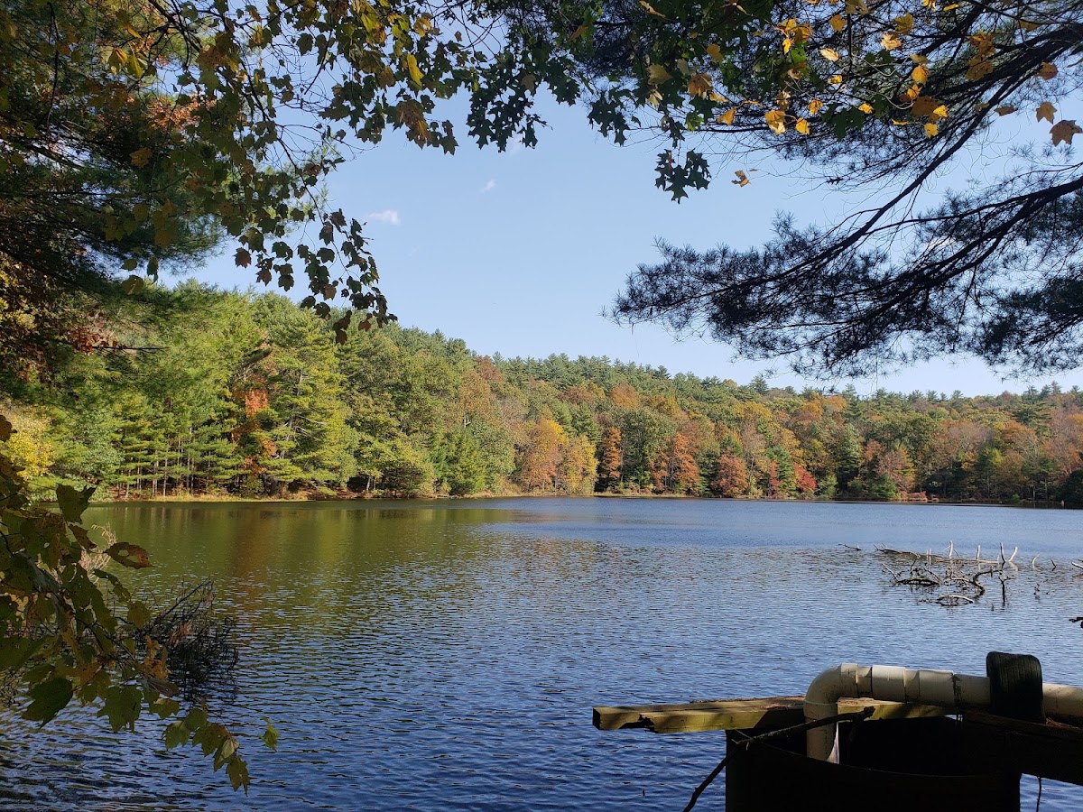 Cliff Park Trailhead