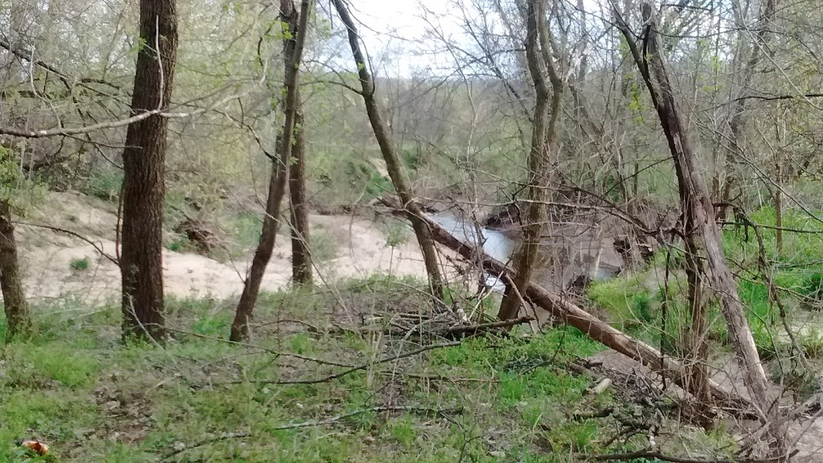 West Fork Medicine Creek