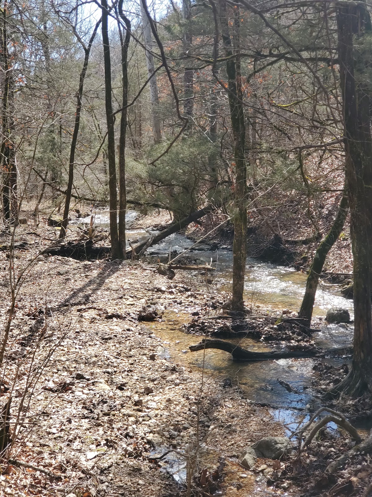 Piney Creek Wilderness Trail