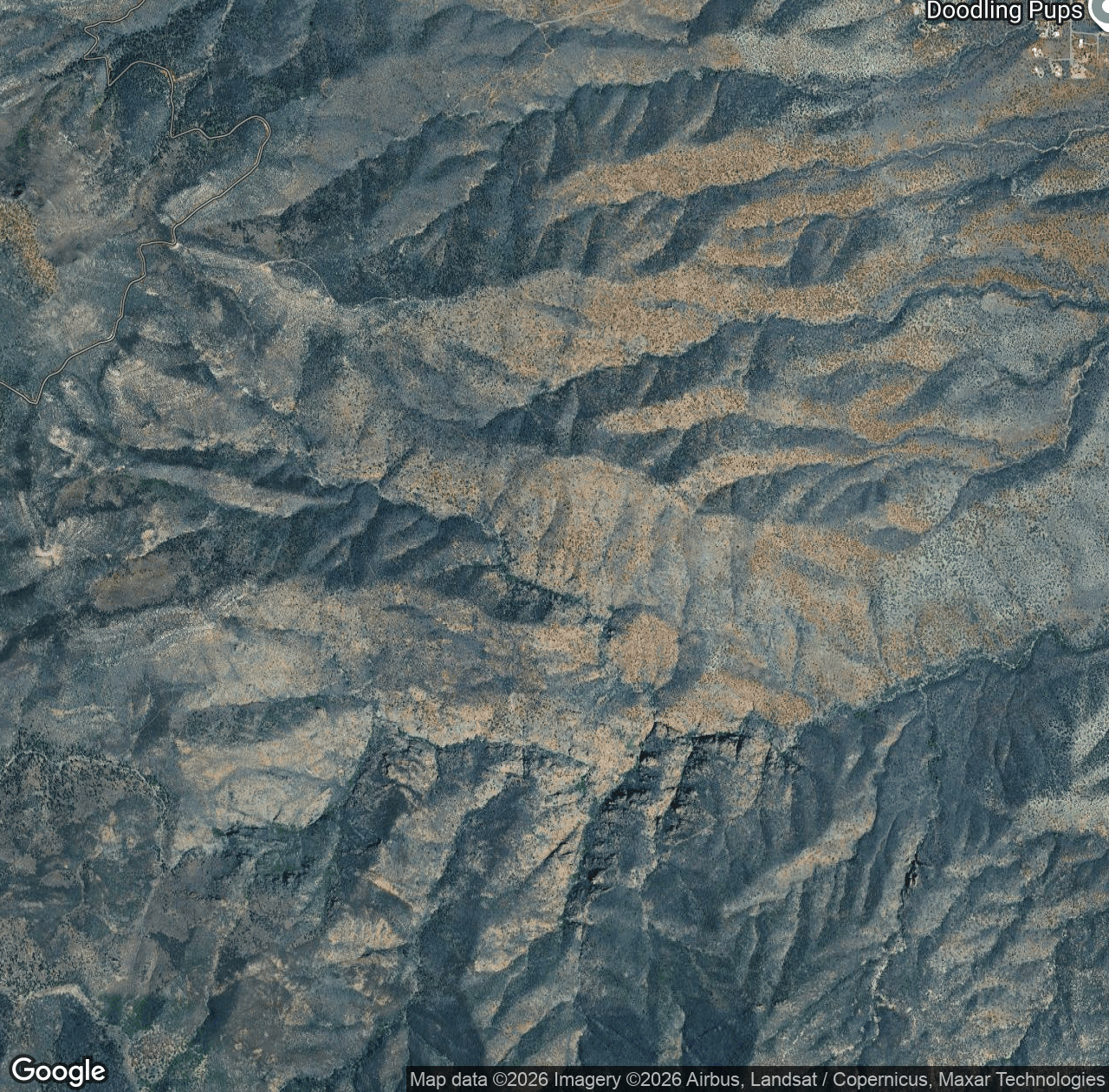 Mingus Black Canyon #114