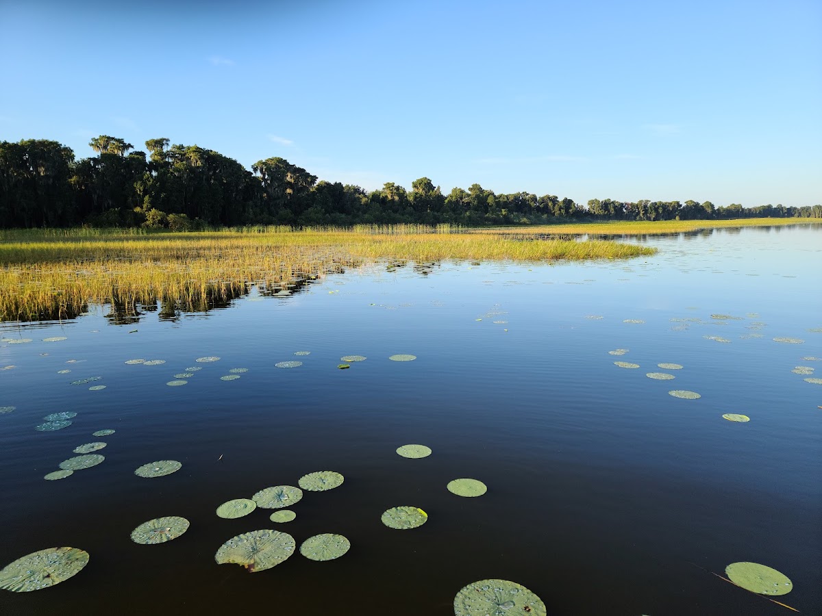 Lake Pierce