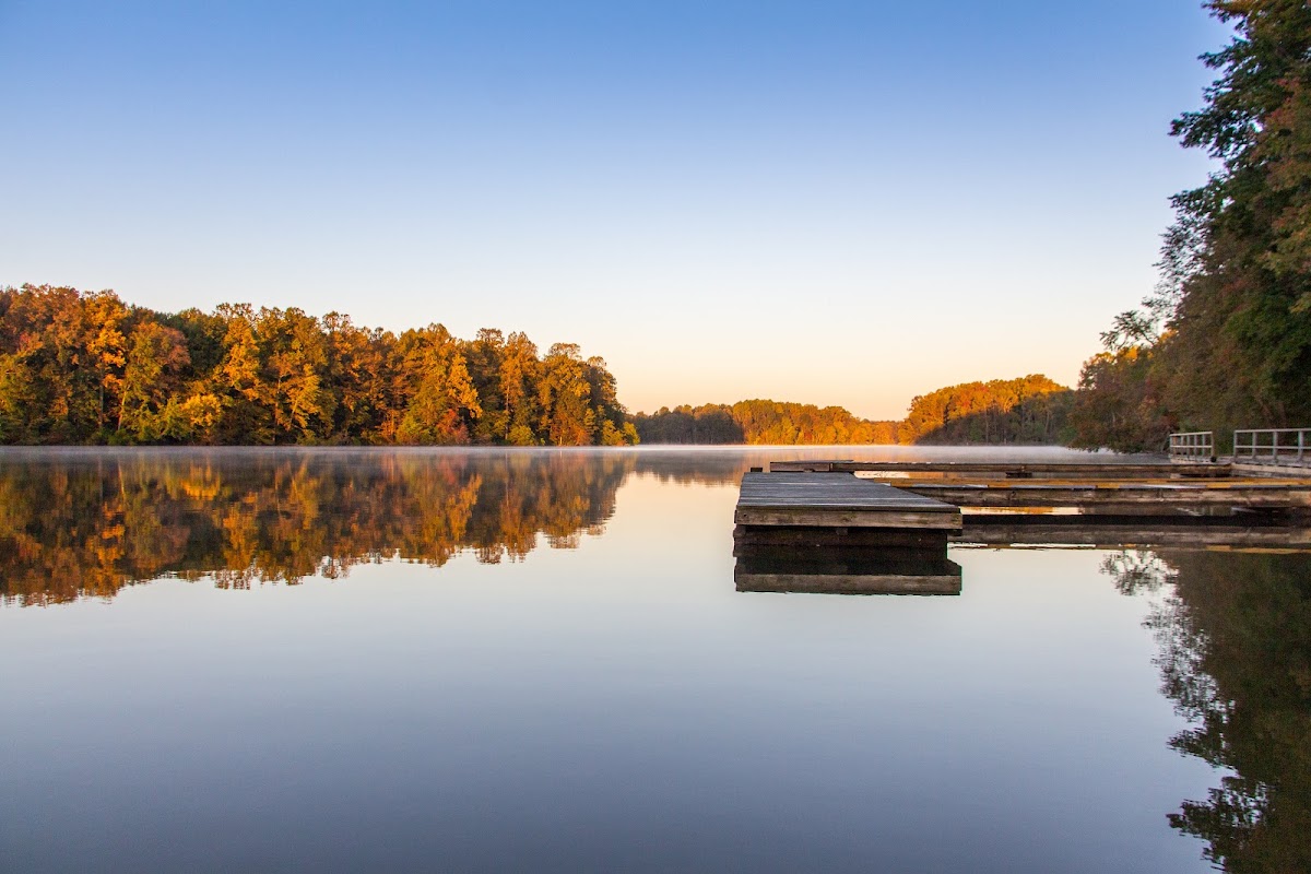Lums Pond