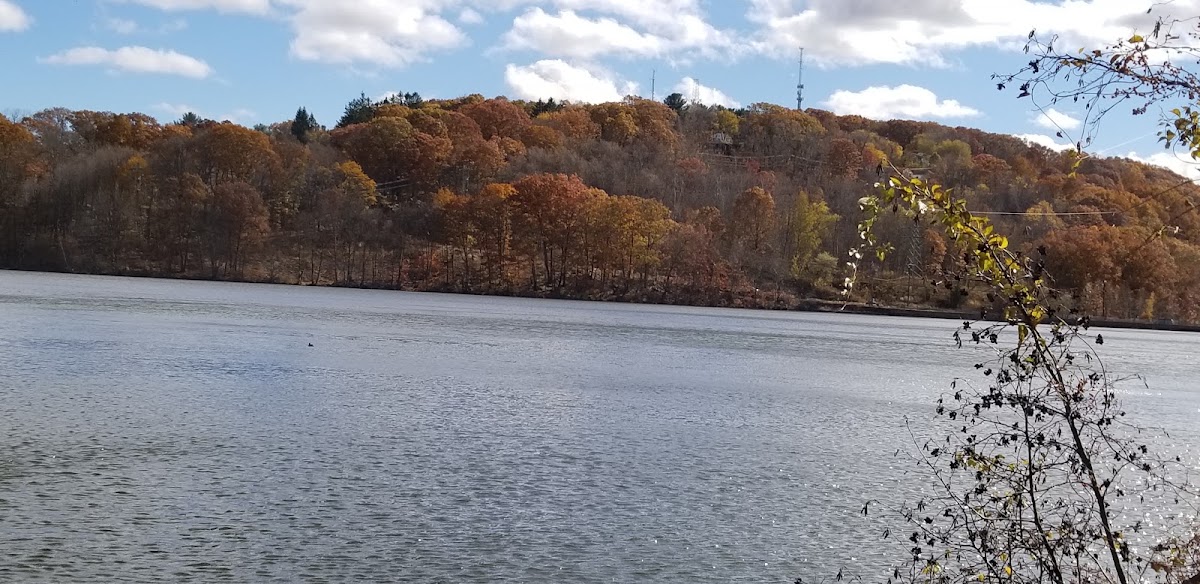 Great Brook Reservoir