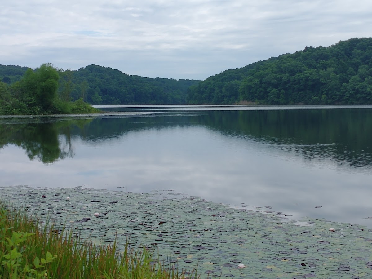 Lake Rupert