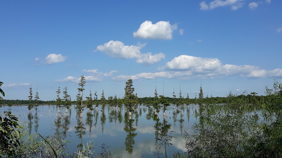 Lake Ashbaugh
