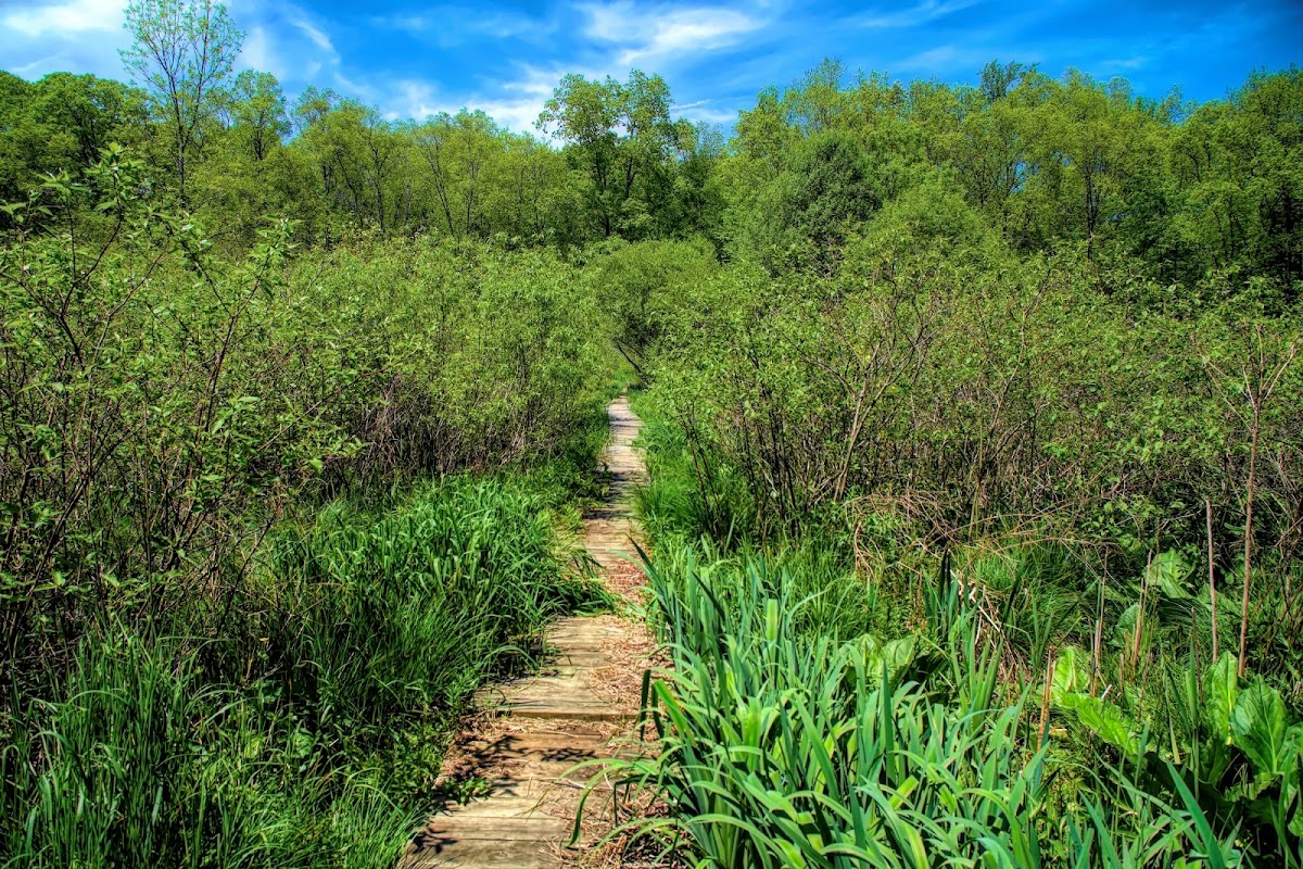 Fairchild Wildflower Sanctuary