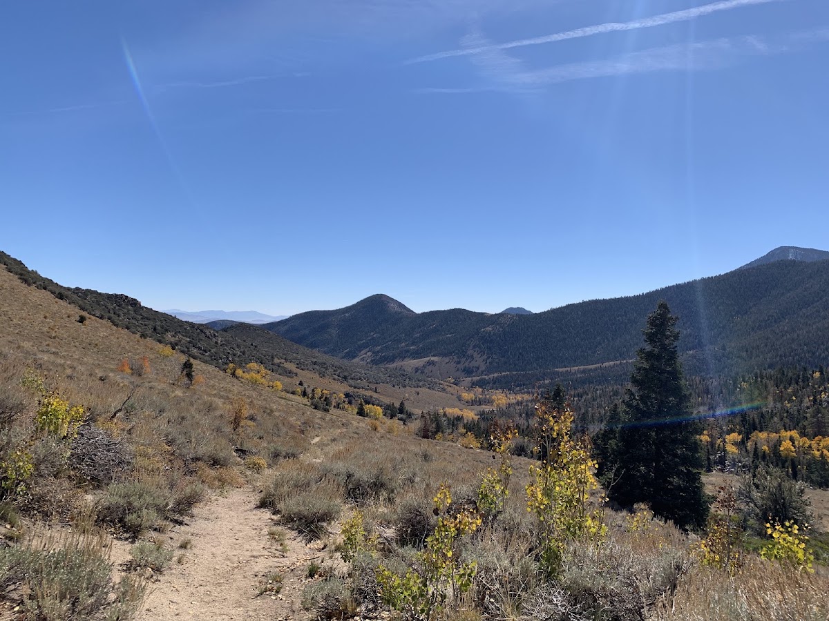 Snake Divide Trail