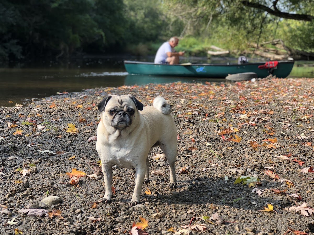 Nippersink Creek