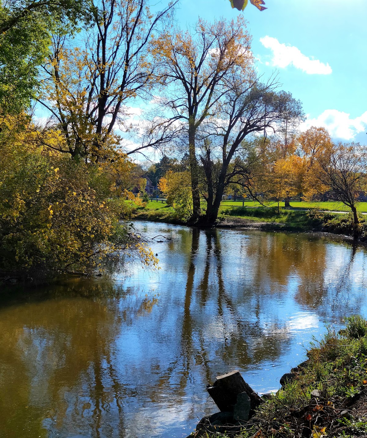 Root River