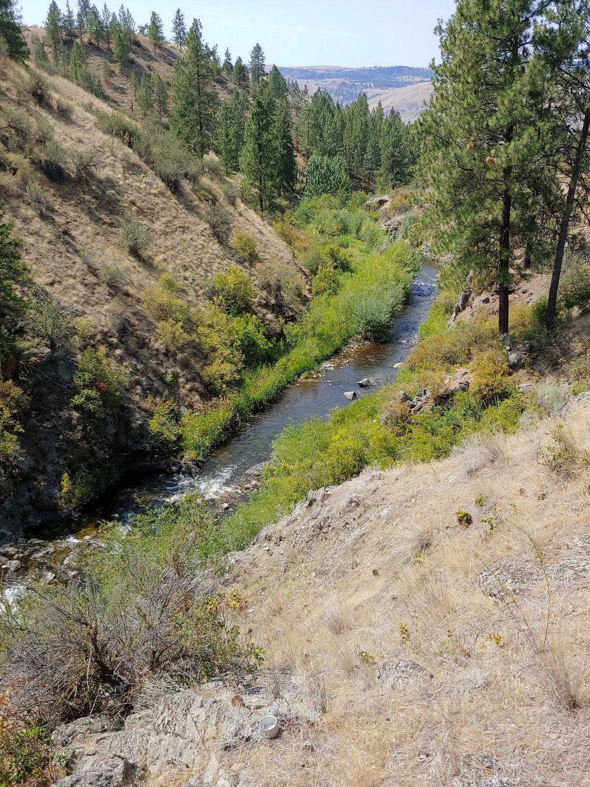 Nespelem River