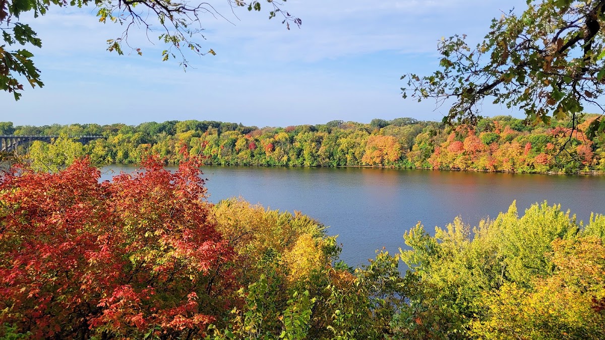 Mississippi River East Channel