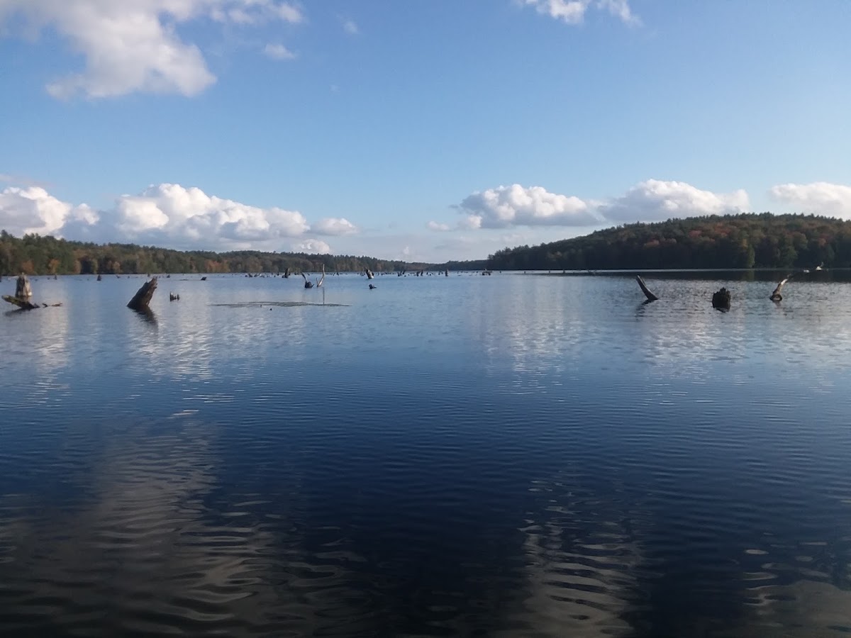 Lake Winchester