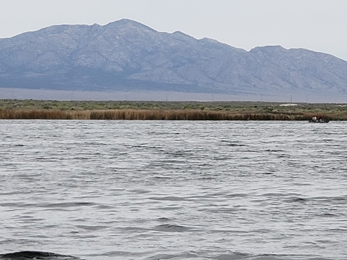 Dacey Reservoir