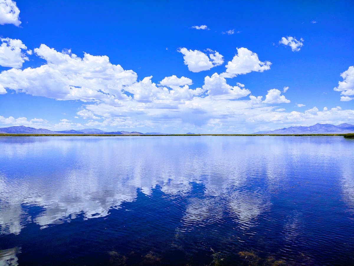 Adams-McGill Reservoir