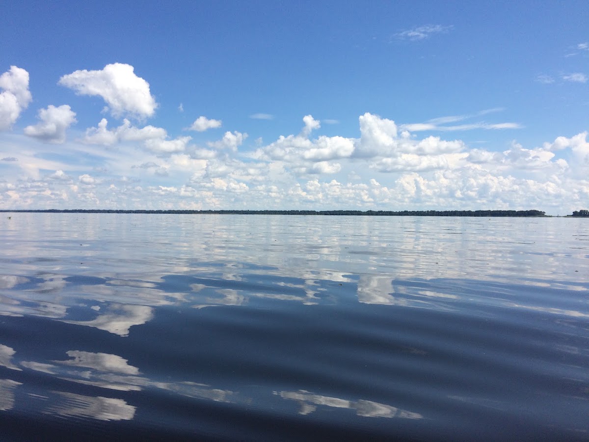 Lake Istokpoga
