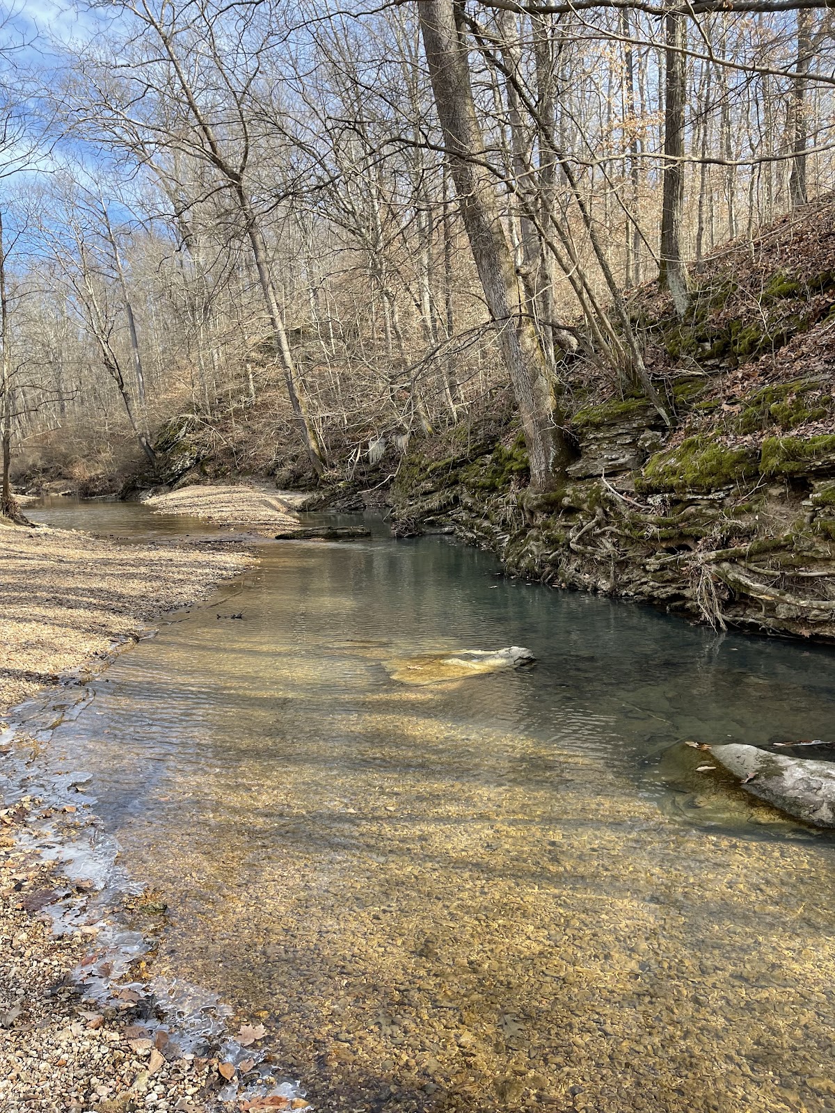 Clear Springs / Illinois Ozark Trail