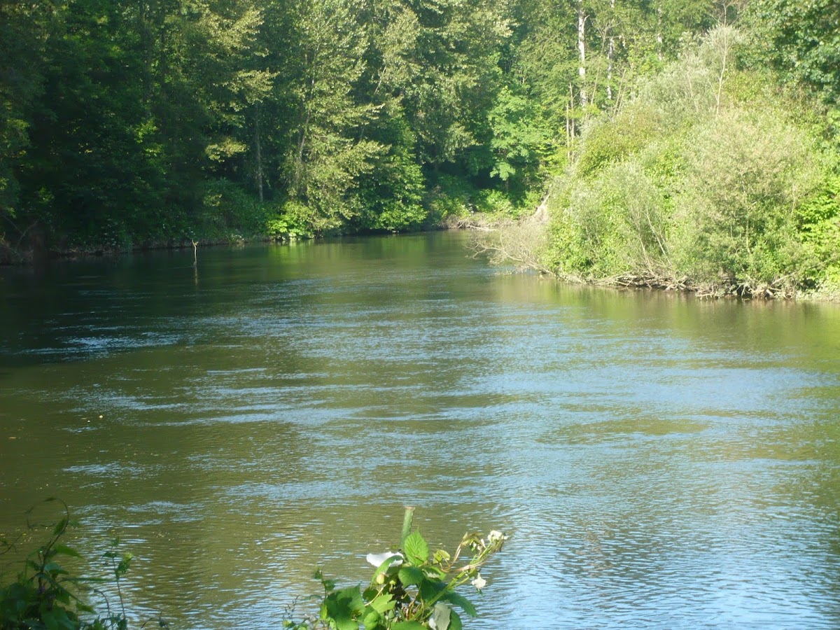 Duwamish River
