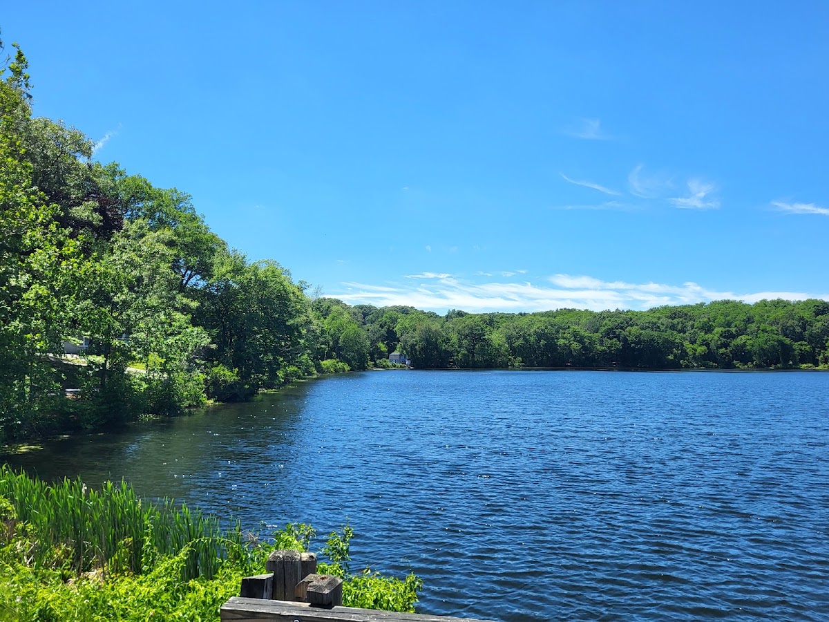 Barney Pond