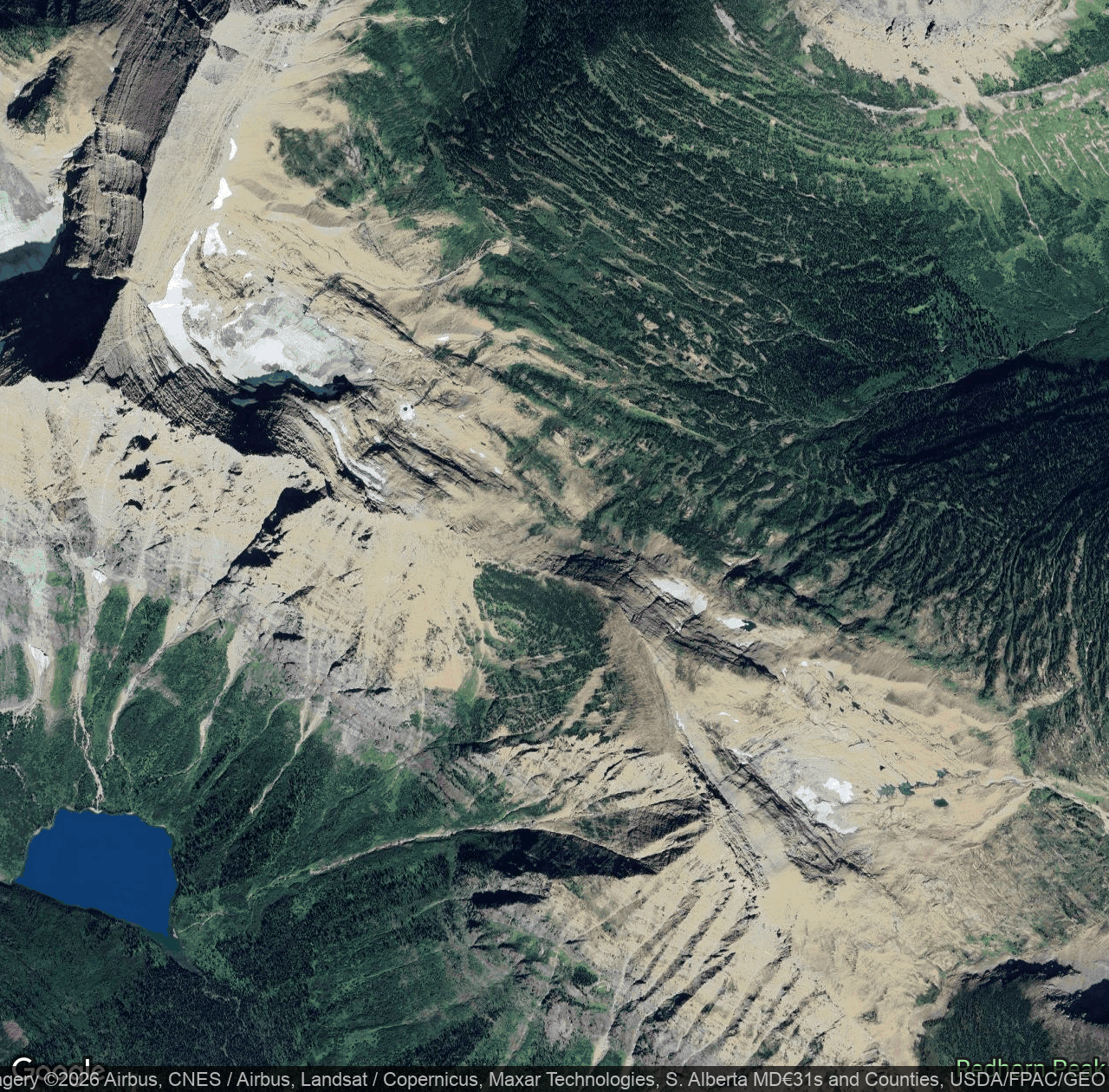 Carter Glaciers