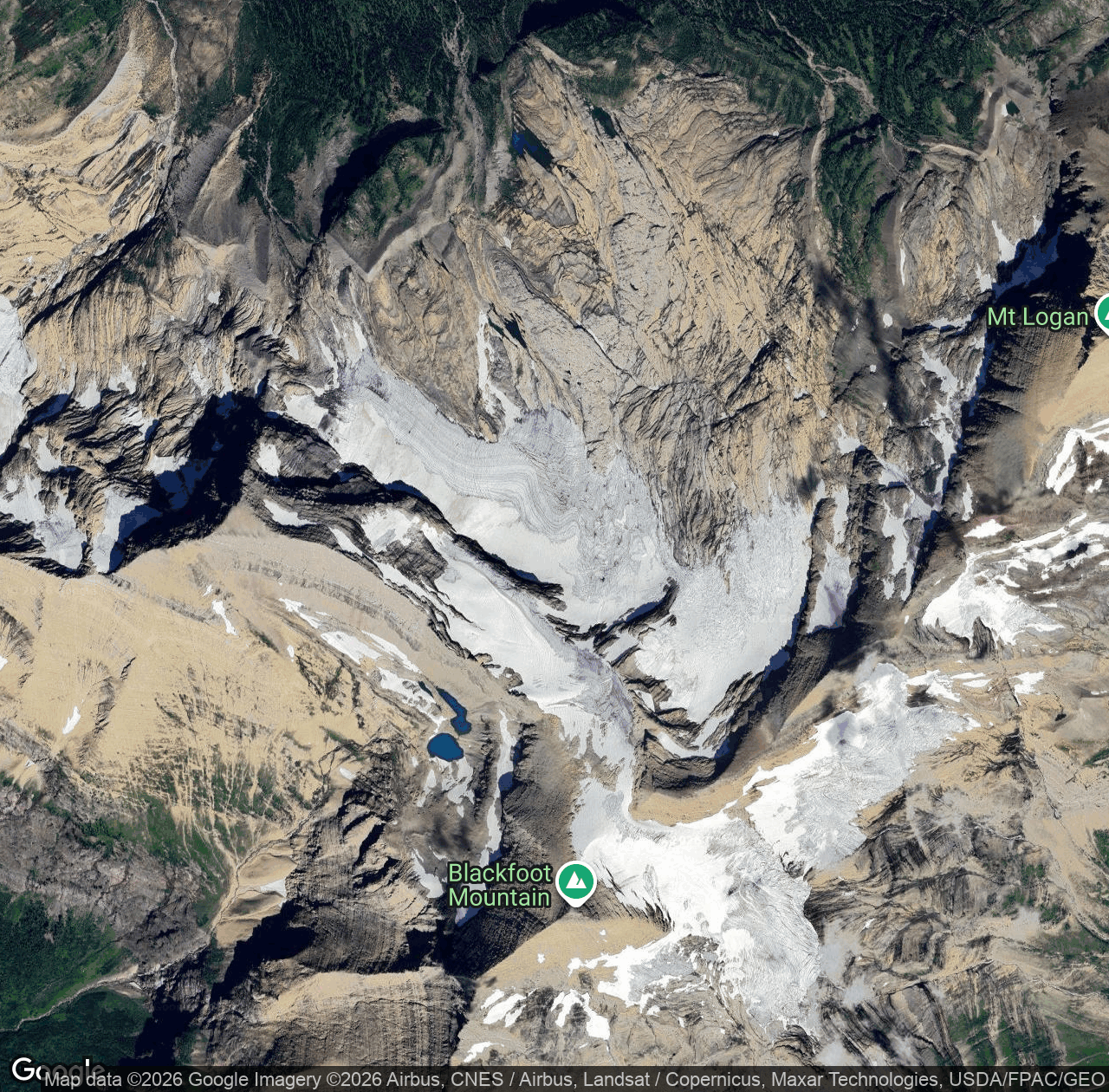 Blackfoot Glacier