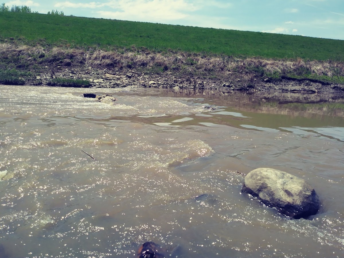 Soldier Creek