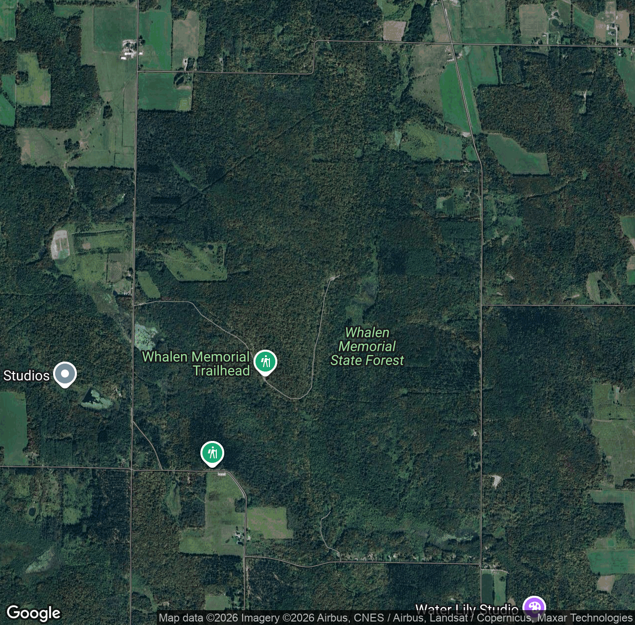 State Reforestation Area Chautauqua Number 11