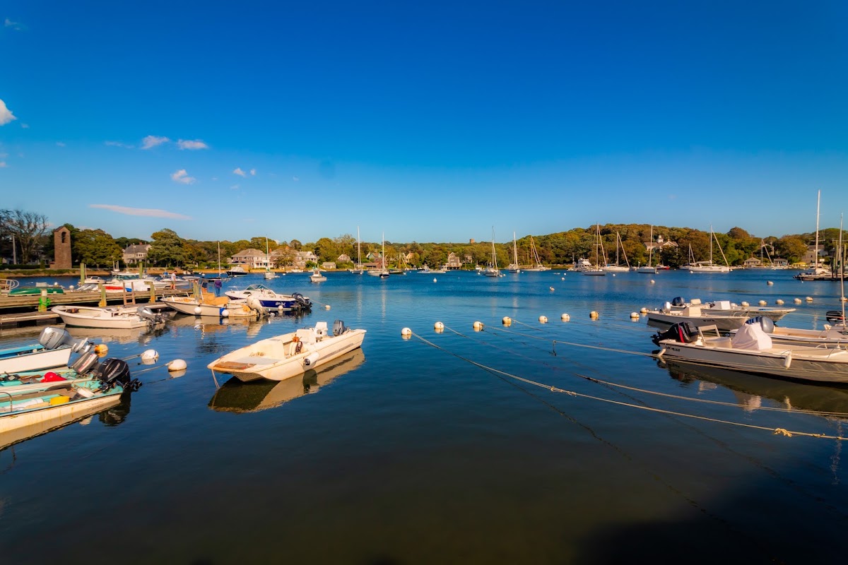 Eel Pond