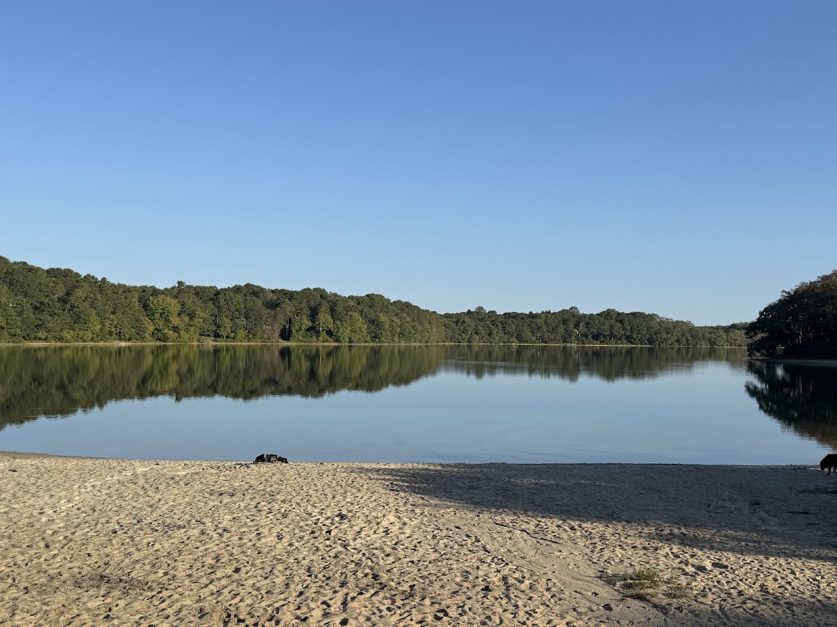 Hamblin Pond