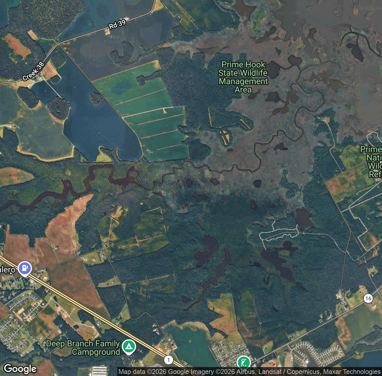 Streak Ponds