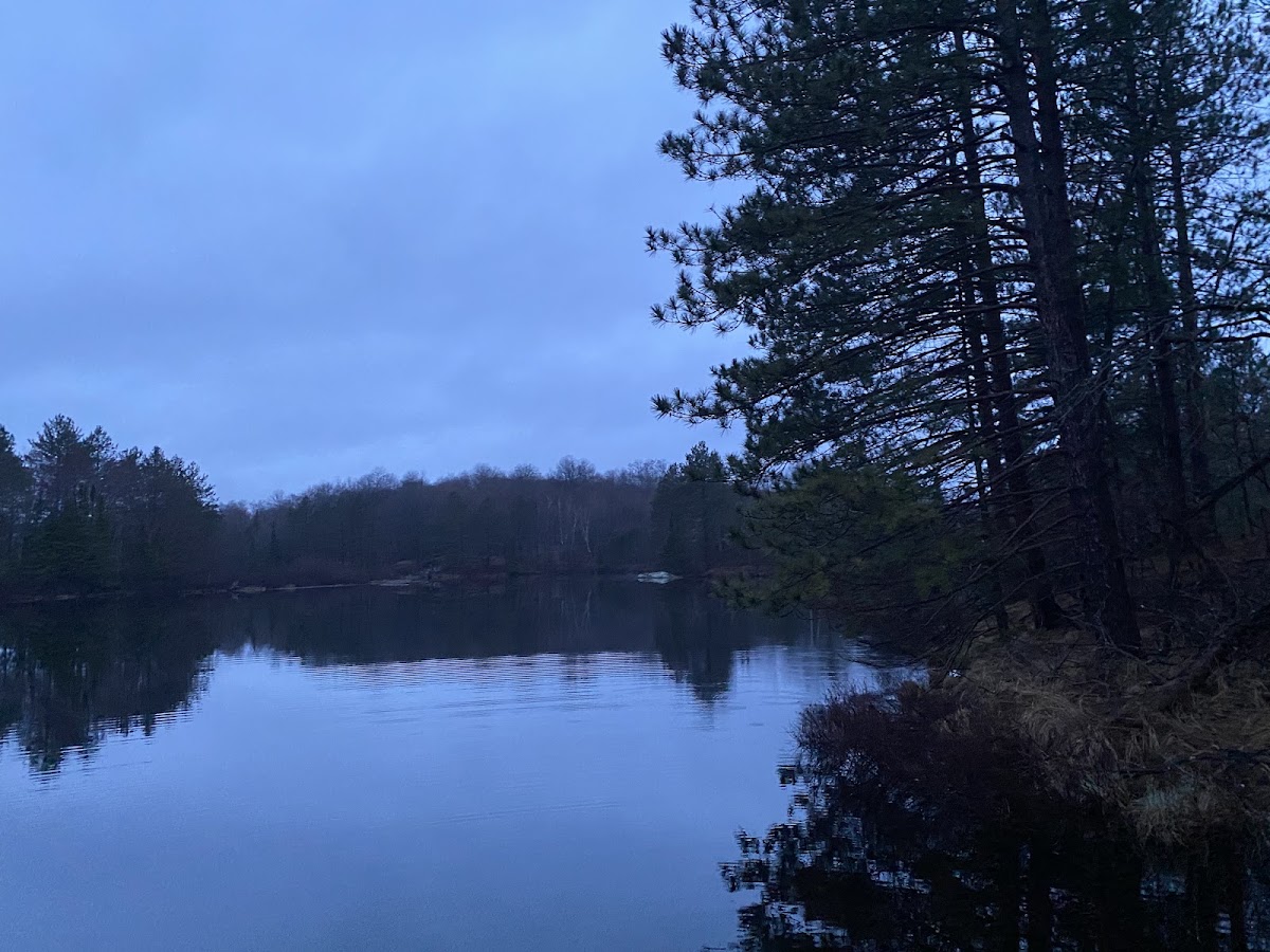 Beaverdam Lake