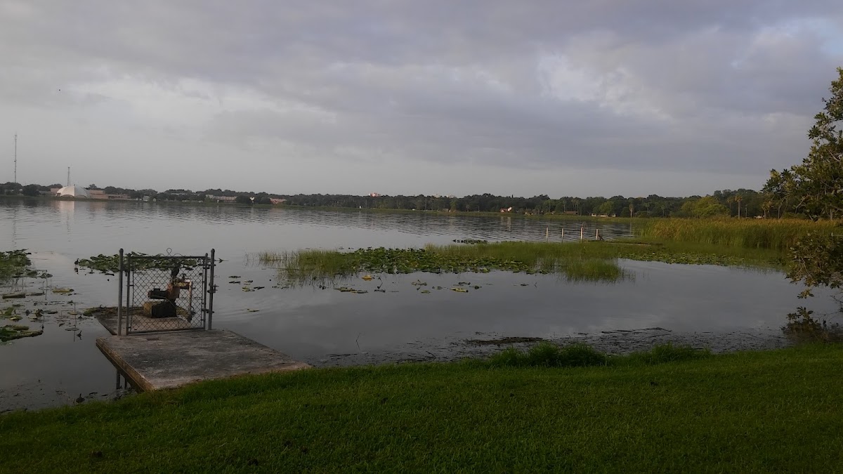 Lake Parker