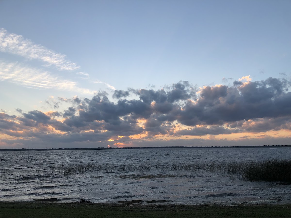 Lake Hamilton