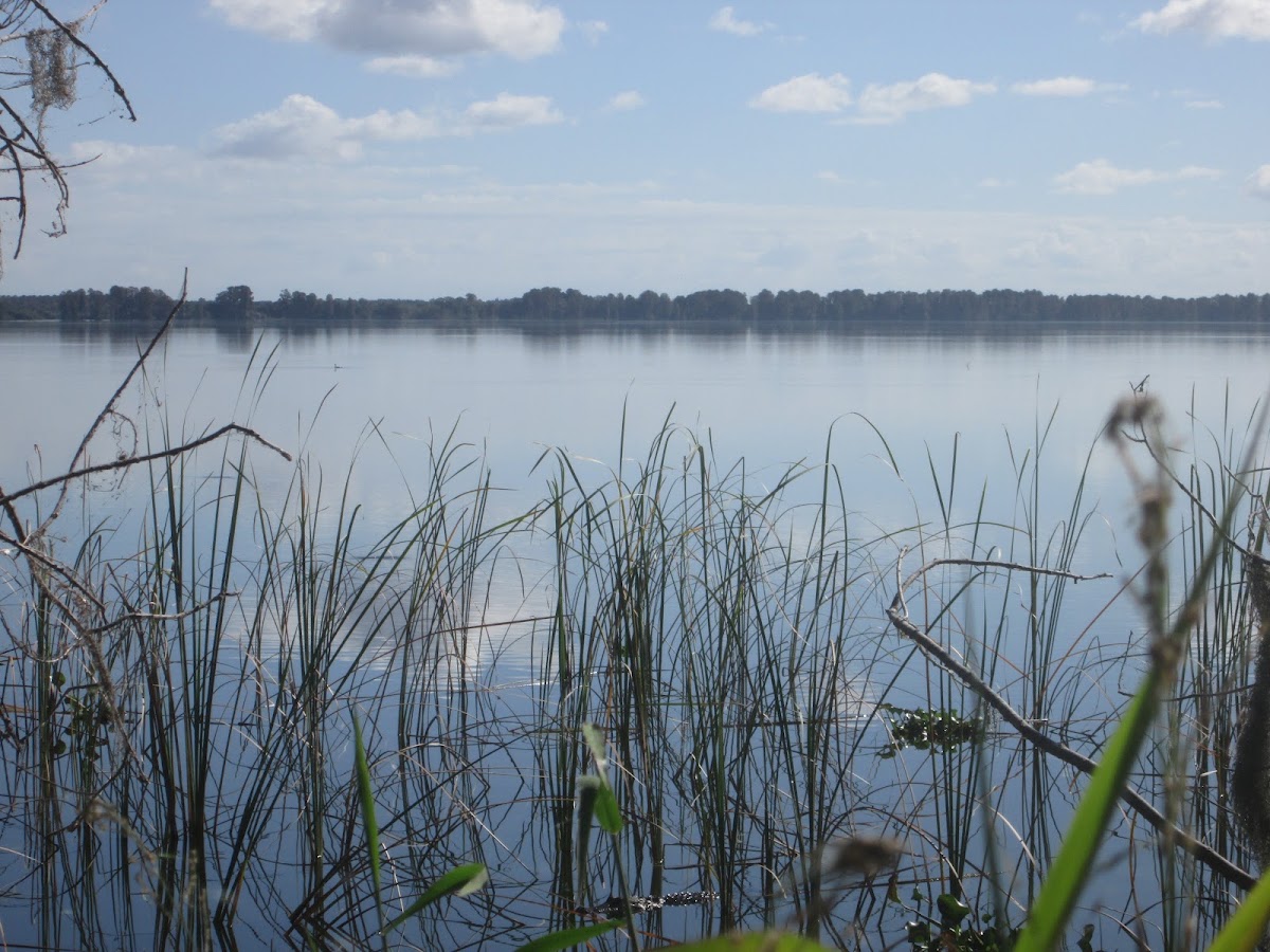 Lake Hancock