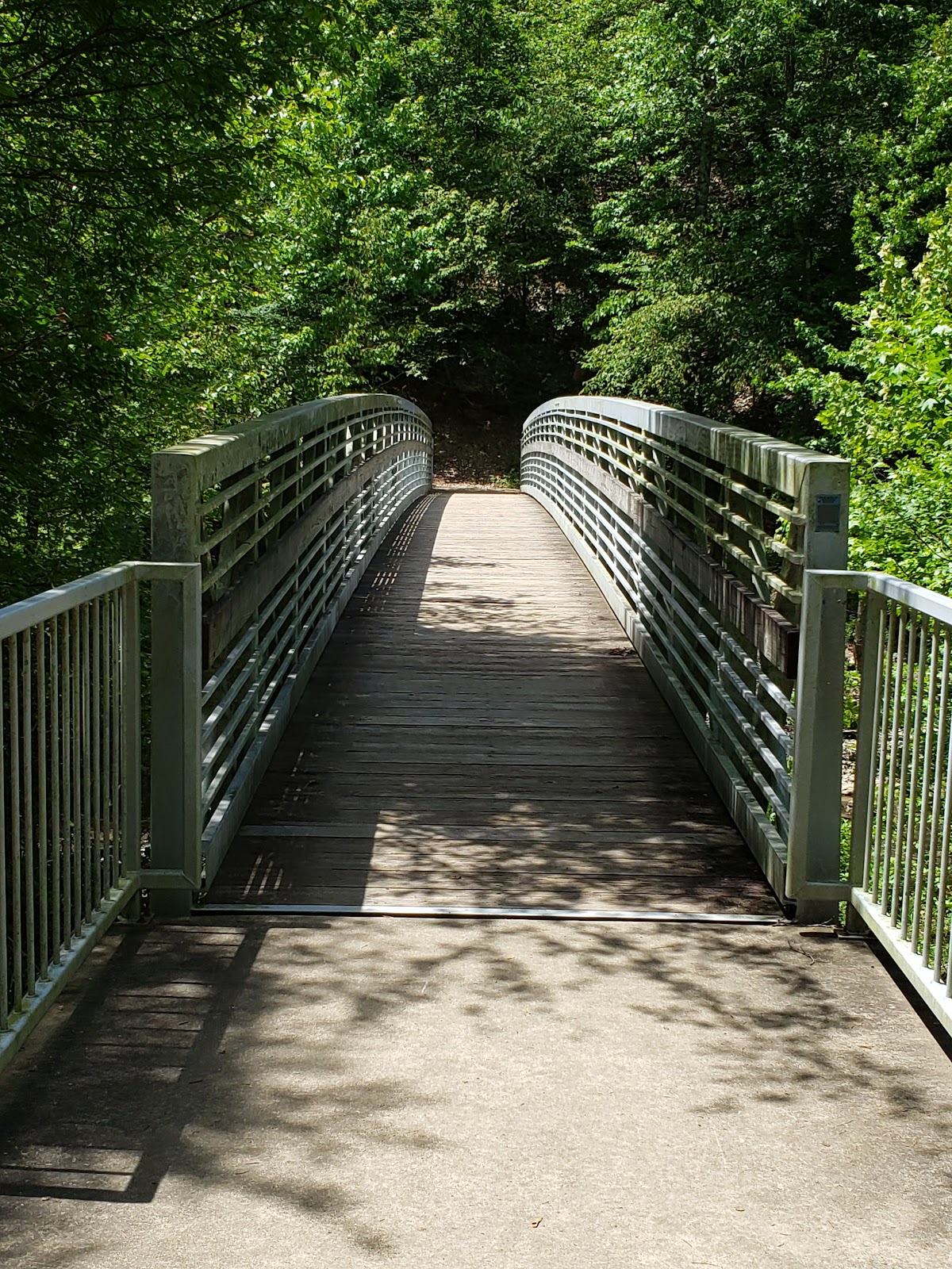 Wolf Pen Gap Trail 8 - East