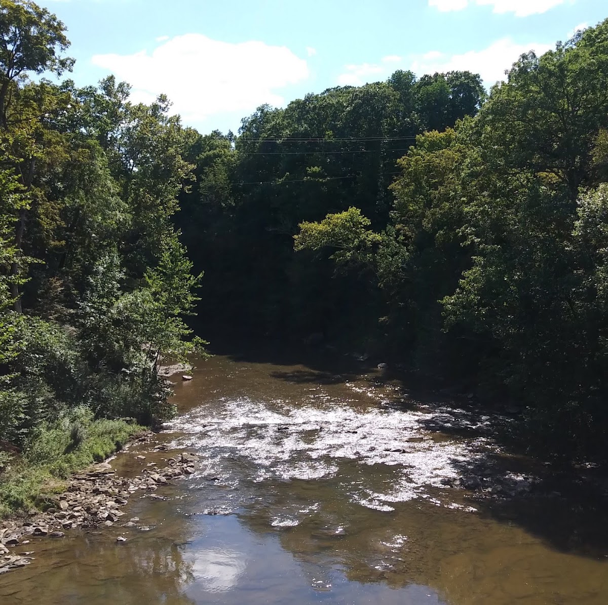 Mud Pine Creek