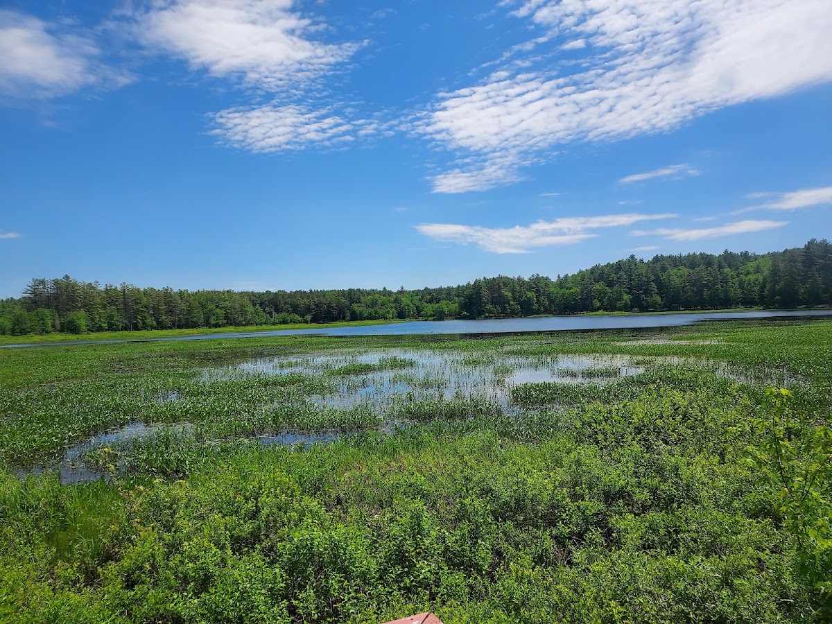 Elm Brook Pool