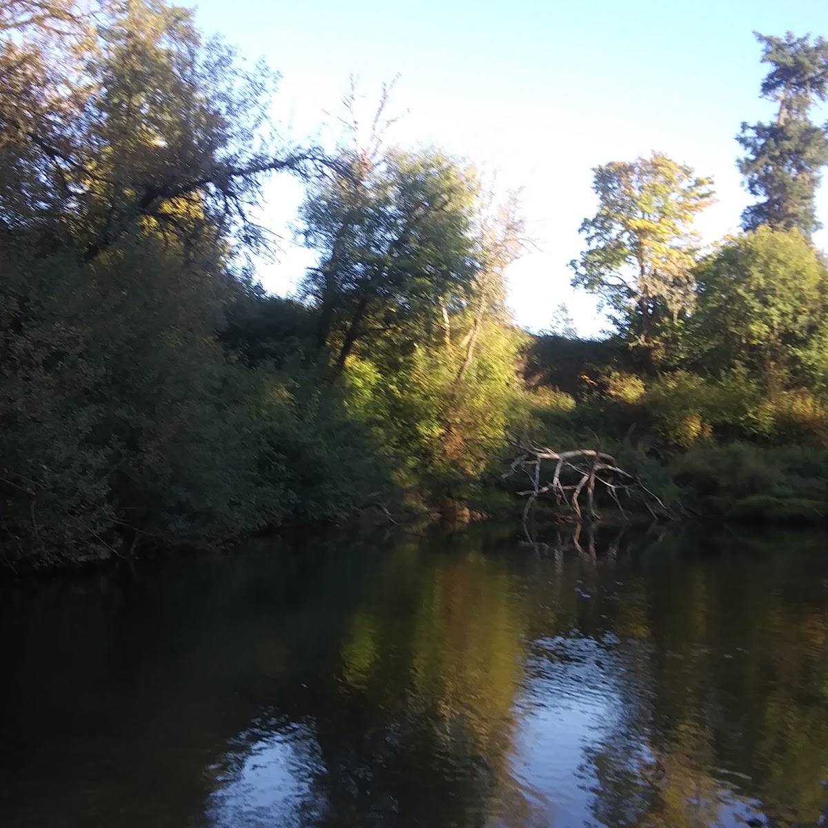 South Yamhill River