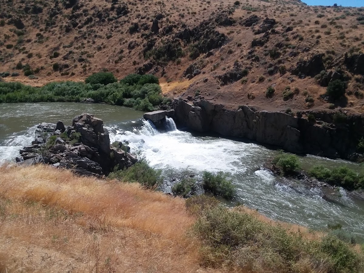 Carson River
