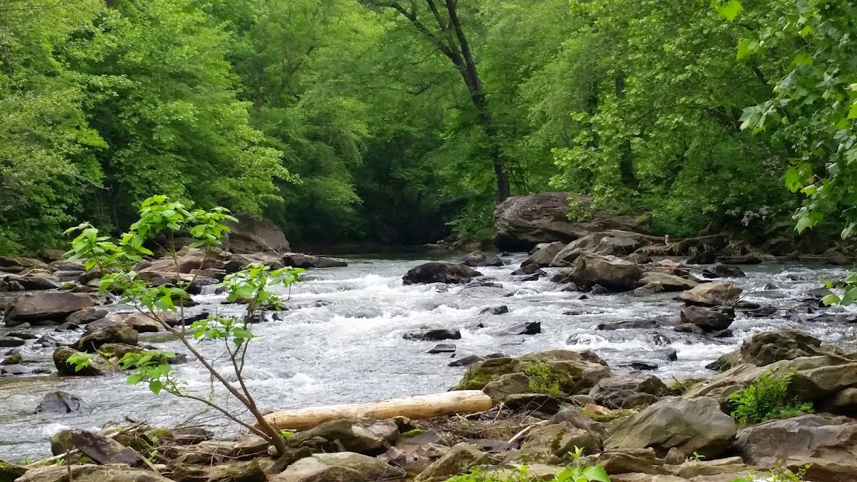 Chestatee River