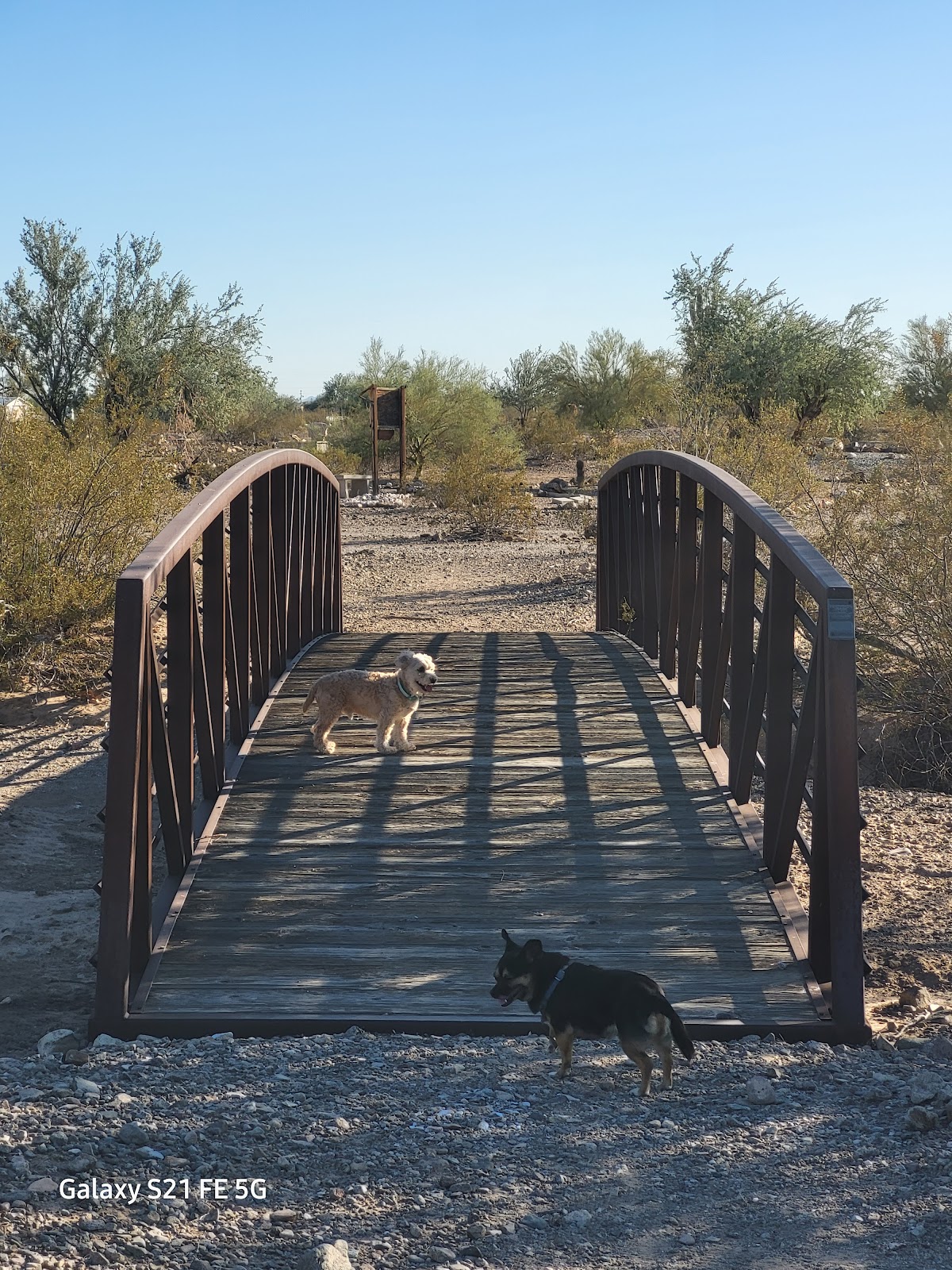La Posa Tyson Wash Long Term Visitor Area