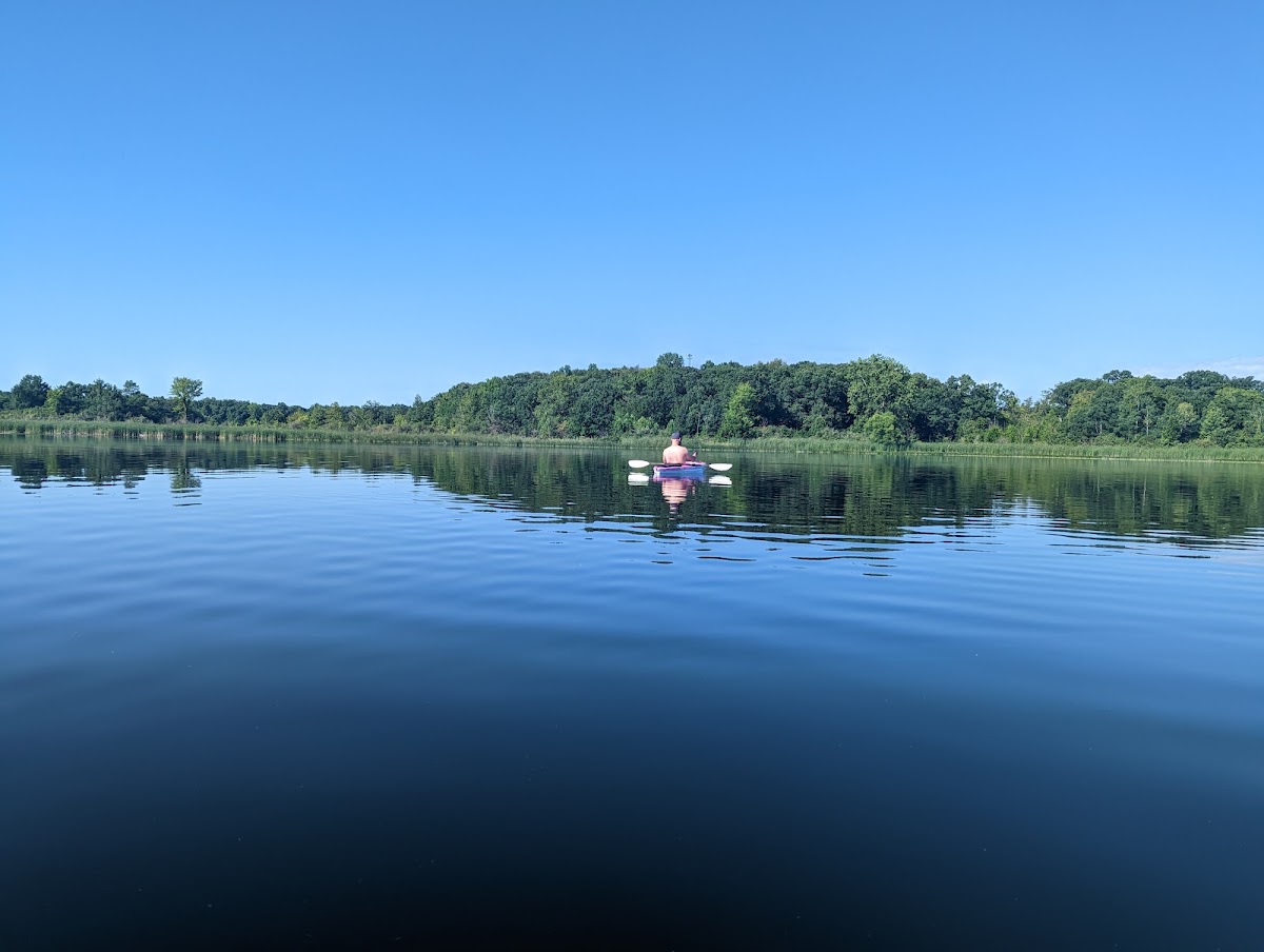 Marsh Lake Wetlands State Fish and Wildlife Area